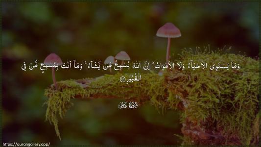Faatir Ayah 22 - Arabic (Wide) wallpaper