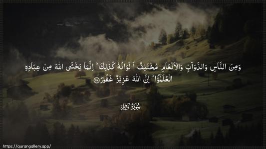 Faatir Ayah 28 - Arabic (Wide) wallpaper