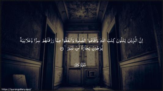 Faatir Ayah 29 - Arabic (Wide) wallpaper