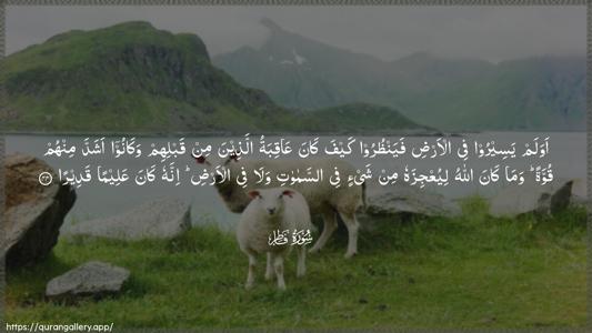 Faatir Ayah 44 - Arabic (Wide) wallpaper