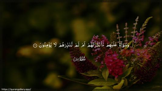Yaseen Ayah 10 - Arabic (Wide) wallpaper