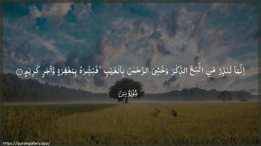 Yaseen Ayah 11 - Arabic (Wide) wallpaper