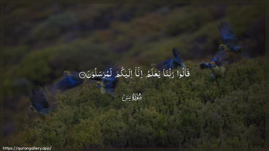 Yaseen Ayah 16 - Arabic (Wide) wallpaper