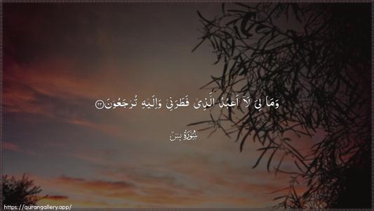 Yaseen Ayah 22 - Arabic (Wide) wallpaper
