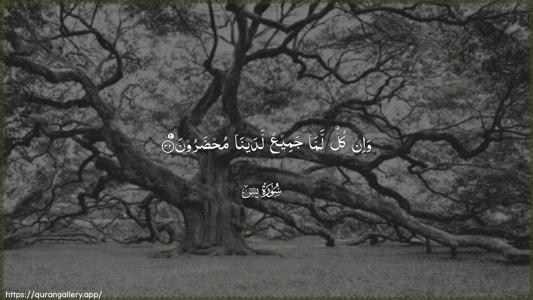 Yaseen Ayah 32 - Arabic (Wide) wallpaper