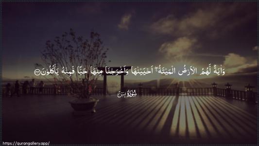 Yaseen Ayah 33 - Arabic (Wide) wallpaper