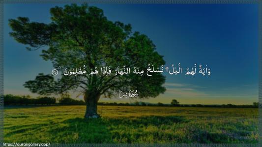 Yaseen Ayah 37 - Arabic (Wide) wallpaper