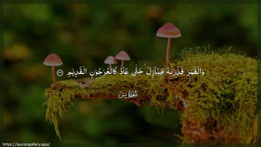 Yaseen Ayah 39 - Arabic (Wide) wallpaper