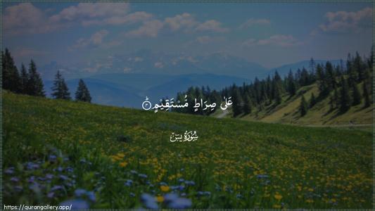 Yaseen Ayah 4 - Arabic (Wide) wallpaper