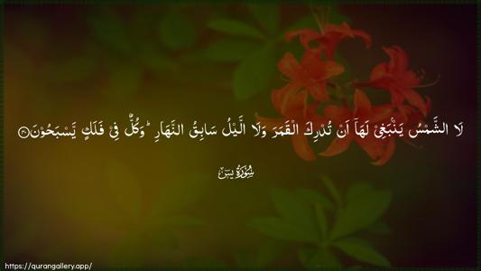 Yaseen Ayah 40 - Arabic (Wide) wallpaper