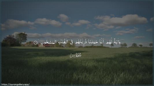 Yaseen Ayah 41 - Arabic (Wide) wallpaper