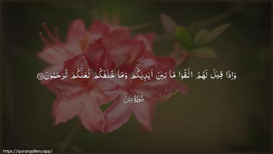 Yaseen Ayah 45 - Arabic (Wide) wallpaper