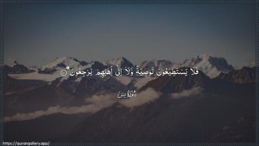 Yaseen Ayah 50 - Arabic (Wide) wallpaper