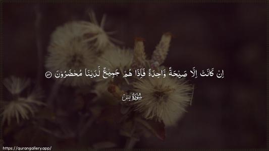 Yaseen Ayah 53 - Arabic (Wide) wallpaper