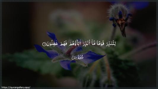 Yaseen Ayah 6 - Arabic (Wide) wallpaper