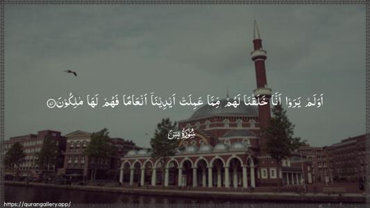 Yaseen Ayah 71 - Arabic (Wide) wallpaper