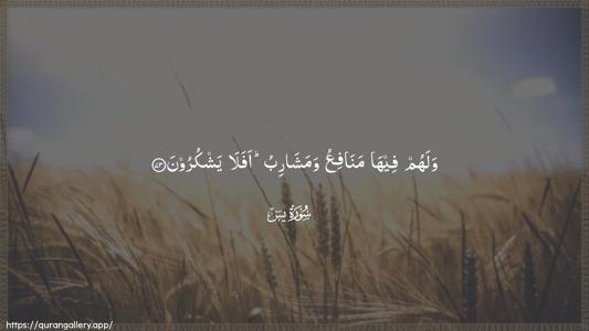 Yaseen Ayah 73 - Arabic (Wide) wallpaper