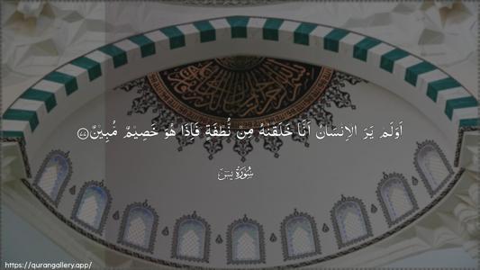 Yaseen Ayah 77 - Arabic (Wide) wallpaper