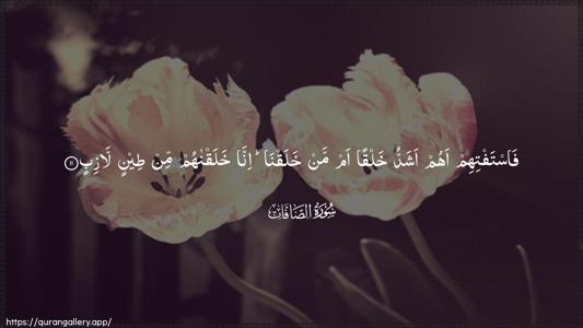 As-Saaffaat Ayah 11 - Arabic (Wide) wallpaper