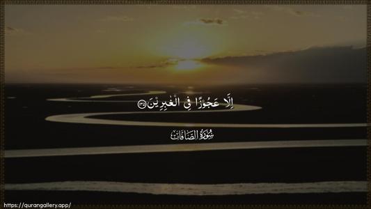 As-Saaffaat Ayah 135 - Arabic (Wide) wallpaper
