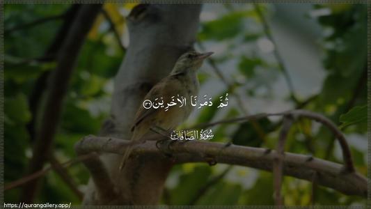 As-Saaffaat Ayah 136 - Arabic (Wide) wallpaper
