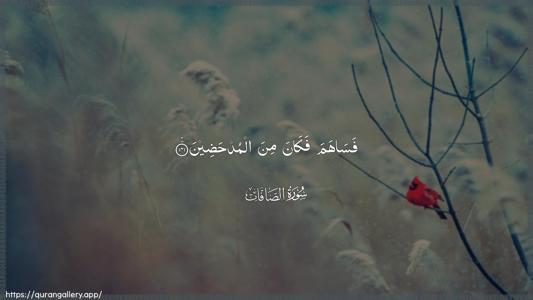 As-Saaffaat Ayah 141 - Arabic (Wide) wallpaper