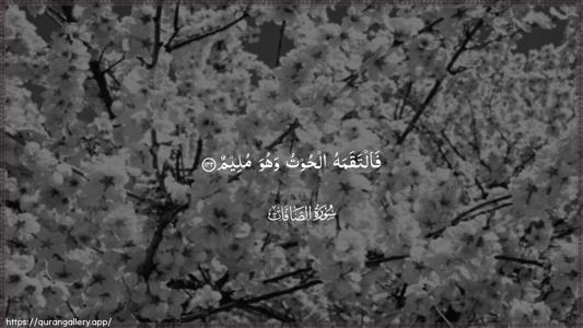 As-Saaffaat Ayah 142 - Arabic (Wide) wallpaper