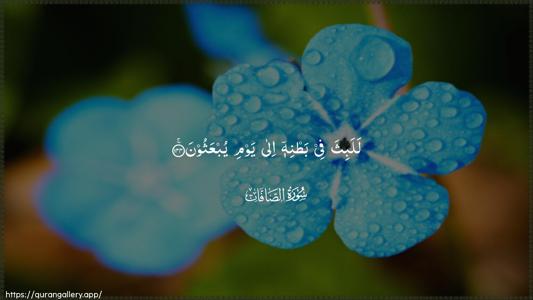 As-Saaffaat Ayah 144 - Arabic (Wide) wallpaper