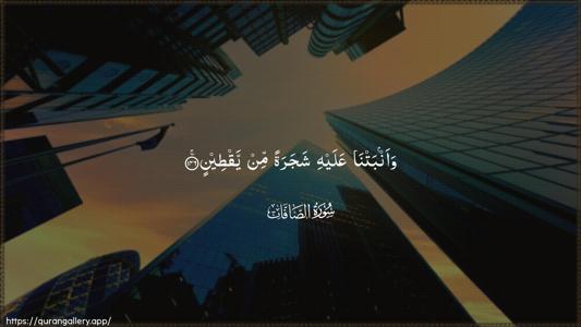 As-Saaffaat Ayah 146 - Arabic (Wide) wallpaper