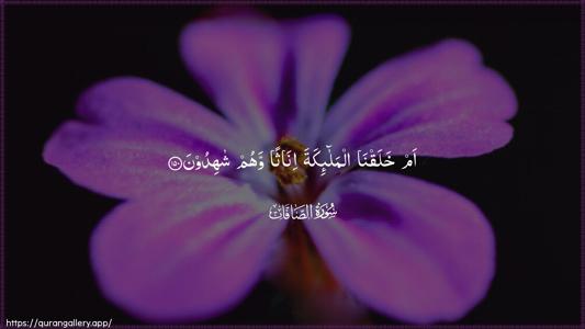 As-Saaffaat Ayah 150 - Arabic (Wide) wallpaper