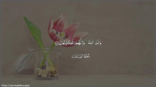 As-Saaffaat Ayah 152 - Arabic (Wide) wallpaper