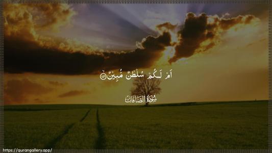 As-Saaffaat Ayah 156 - Arabic (Wide) wallpaper