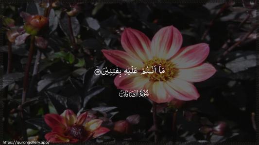 As-Saaffaat Ayah 162 - Arabic (Wide) wallpaper