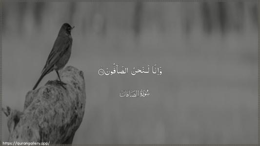As-Saaffaat Ayah 165 - Arabic (Wide) wallpaper