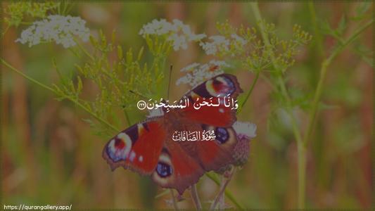 As-Saaffaat Ayah 166 - Arabic (Wide) wallpaper