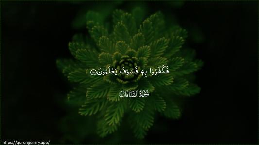As-Saaffaat Ayah 170 - Arabic (Wide) wallpaper