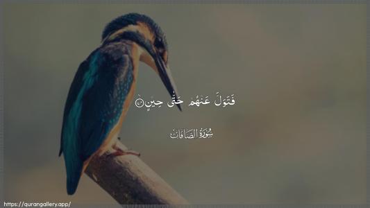 As-Saaffaat Ayah 174 - Arabic (Wide) wallpaper