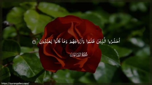As-Saaffaat Ayah 22 - Arabic (Wide) wallpaper