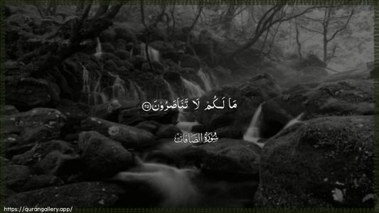 As-Saaffaat Ayah 25 - Arabic (Wide) wallpaper