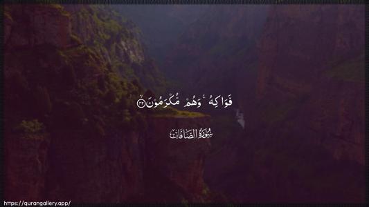 As-Saaffaat Ayah 42 - Arabic (Wide) wallpaper