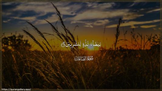 As-Saaffaat Ayah 46 - Arabic (Wide) wallpaper