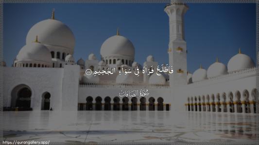 As-Saaffaat Ayah 55 - Arabic (Wide) wallpaper