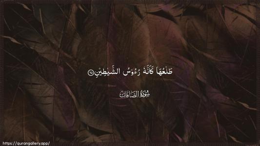 As-Saaffaat Ayah 65 - Arabic (Wide) wallpaper