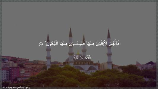 As-Saaffaat Ayah 66 - Arabic (Wide) wallpaper