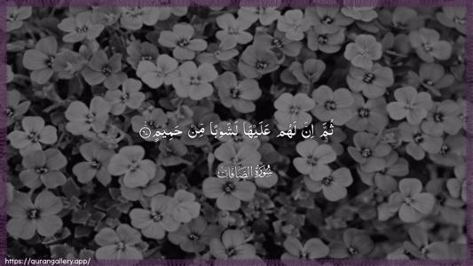 As-Saaffaat Ayah 67 - Arabic (Wide) wallpaper
