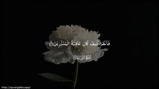 As-Saaffaat Ayah 73 - Arabic (Wide) wallpaper