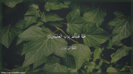 As-Saaffaat Ayah 87 - Arabic (Wide) wallpaper