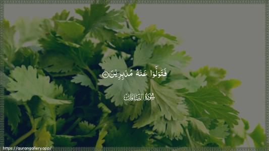 As-Saaffaat Ayah 90 - Arabic (Wide) wallpaper