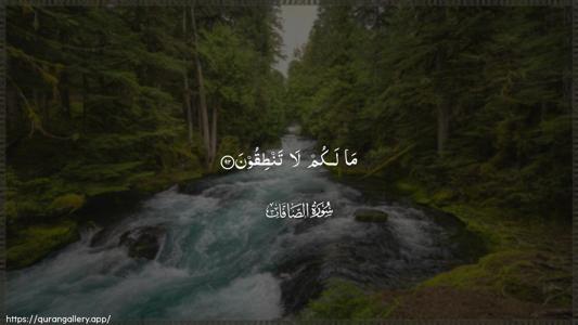 As-Saaffaat Ayah 92 - Arabic (Wide) wallpaper