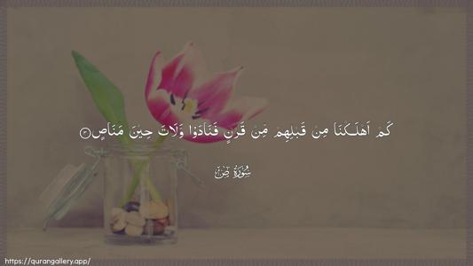 Saad Ayah 3 - Arabic (Wide) wallpaper
